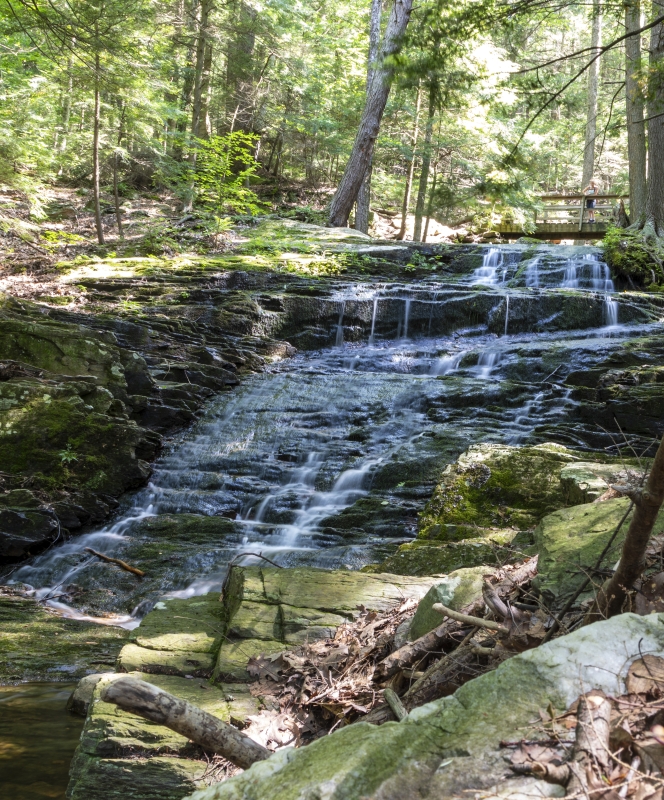 Abbey Pond Trail Aug 2021